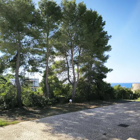 Giove-3 By Interhome Apartment